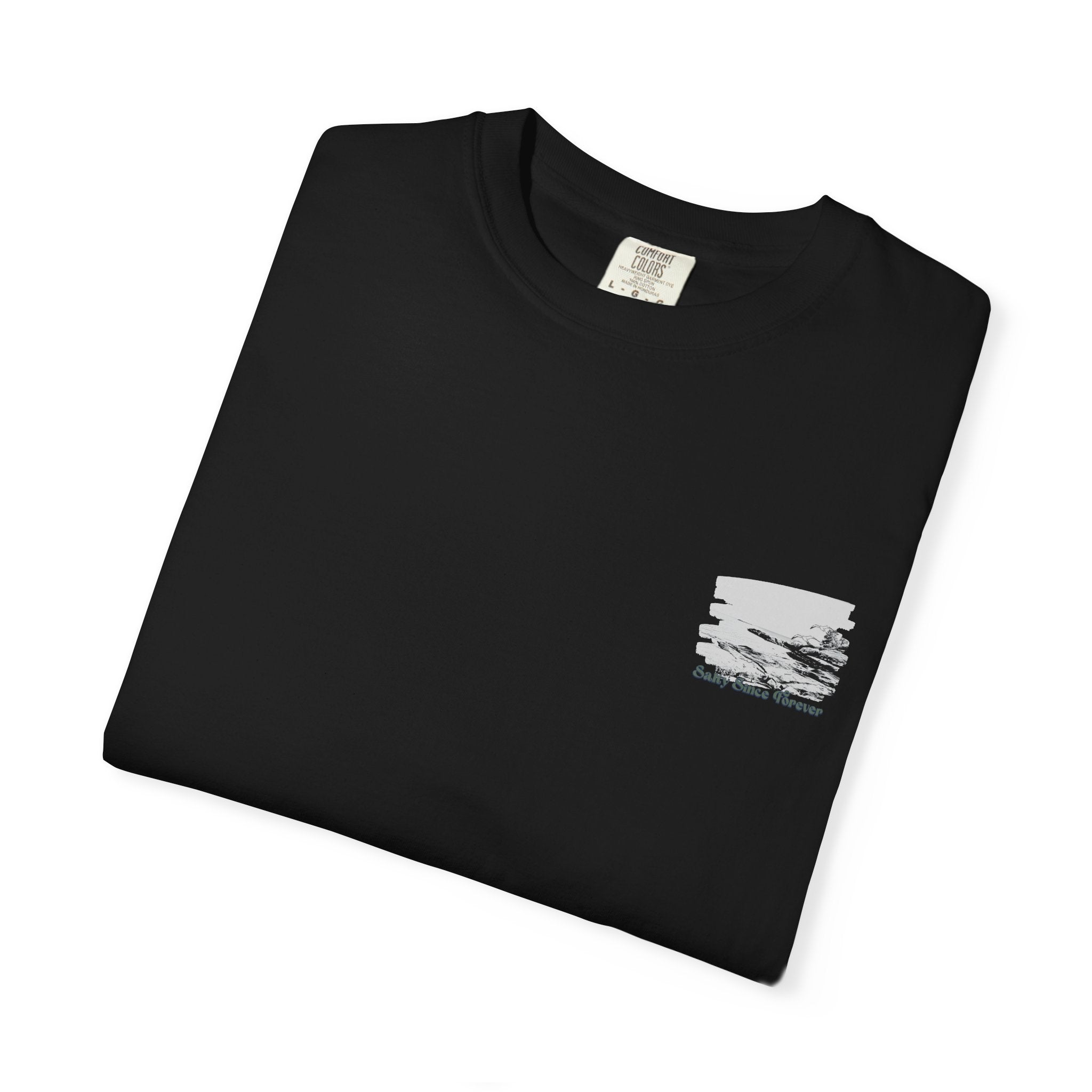 Rocky Neck State Park 'Salty Since Forever' Tee