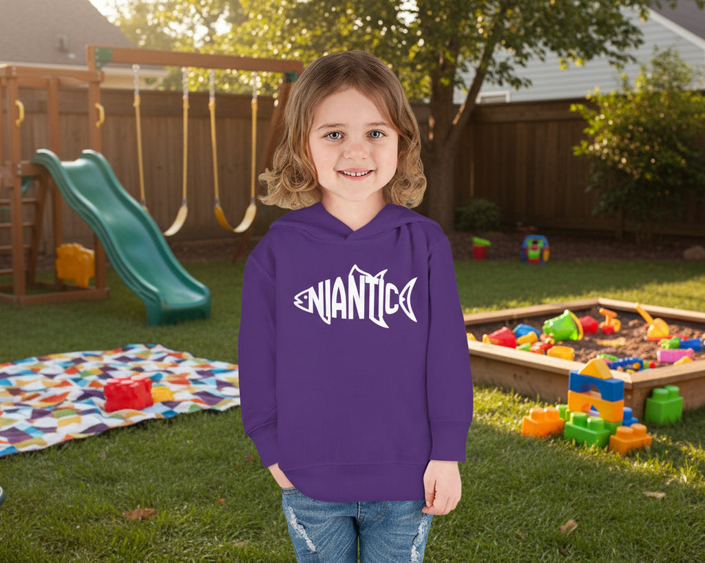 Little Local • Niantic Kids Hoodie