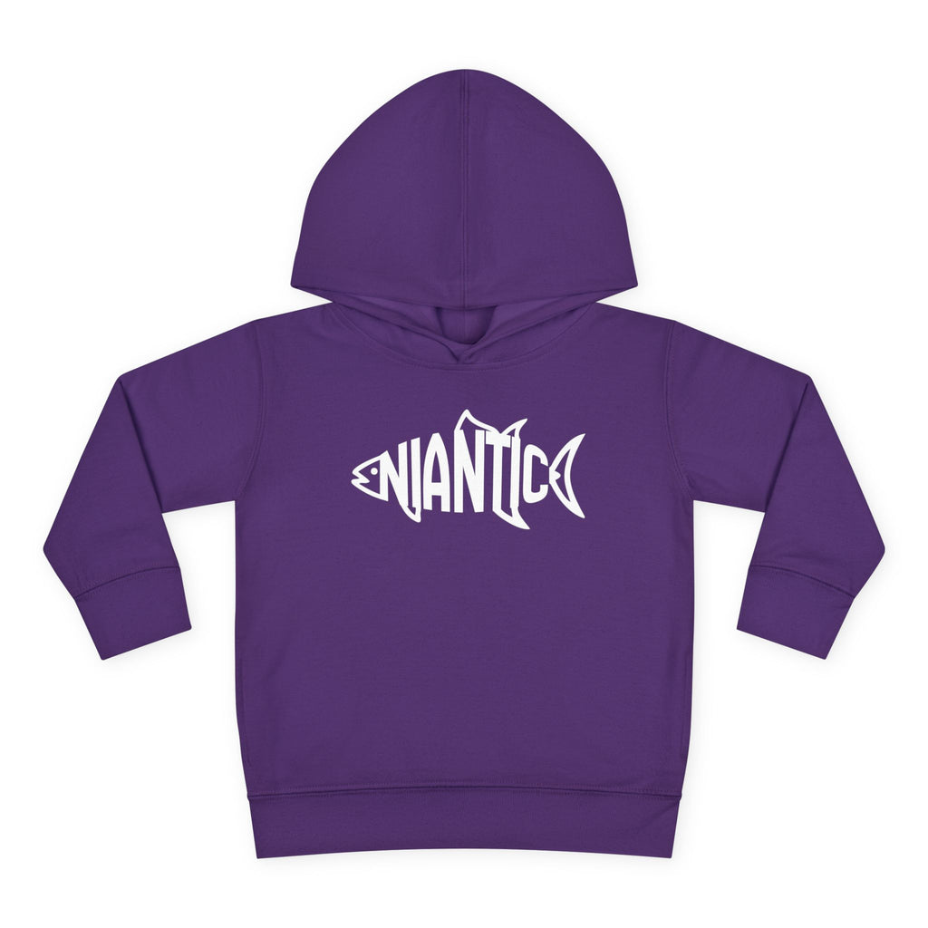 Little Local • Niantic Kids Hoodie