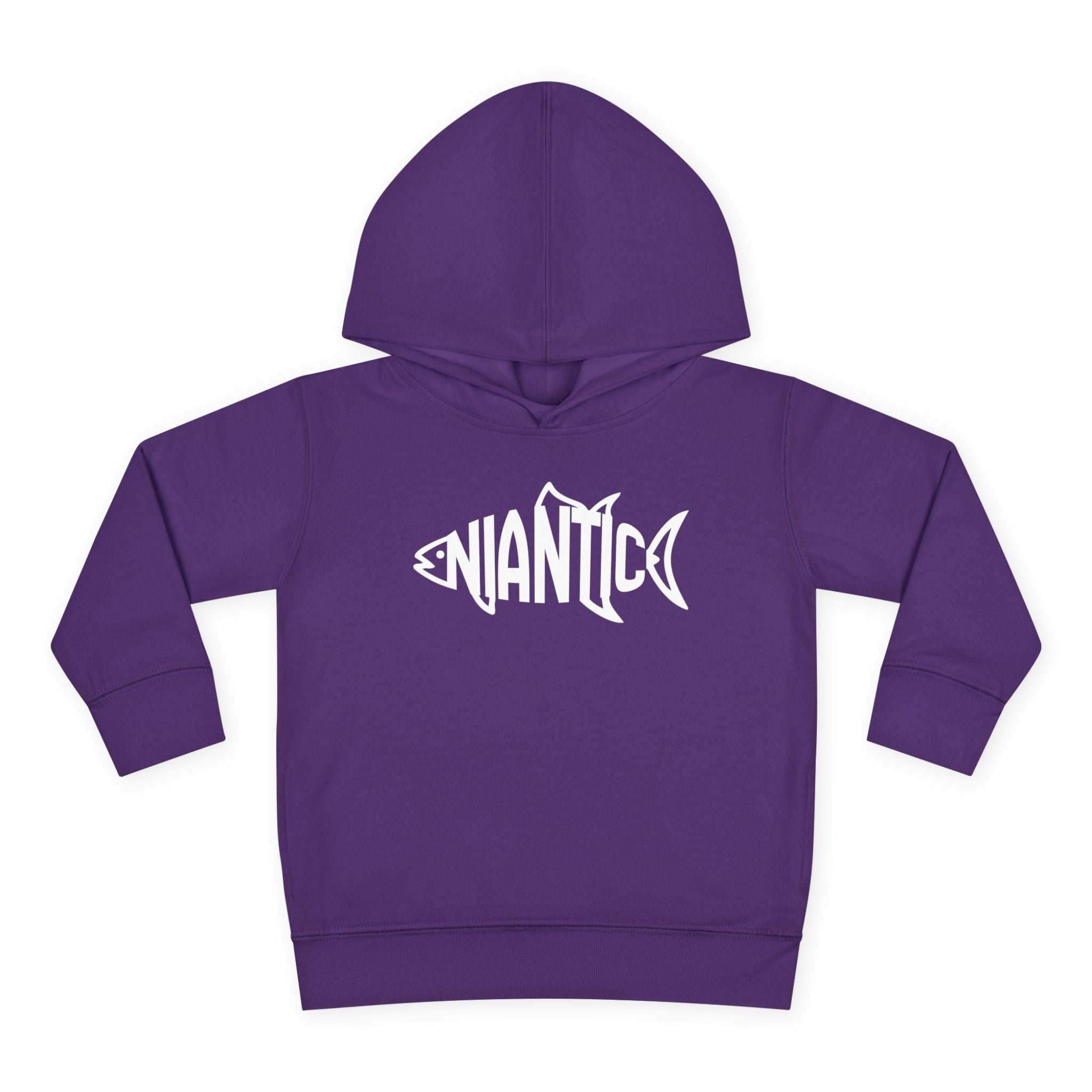 Little Local • Niantic Kids Hoodie