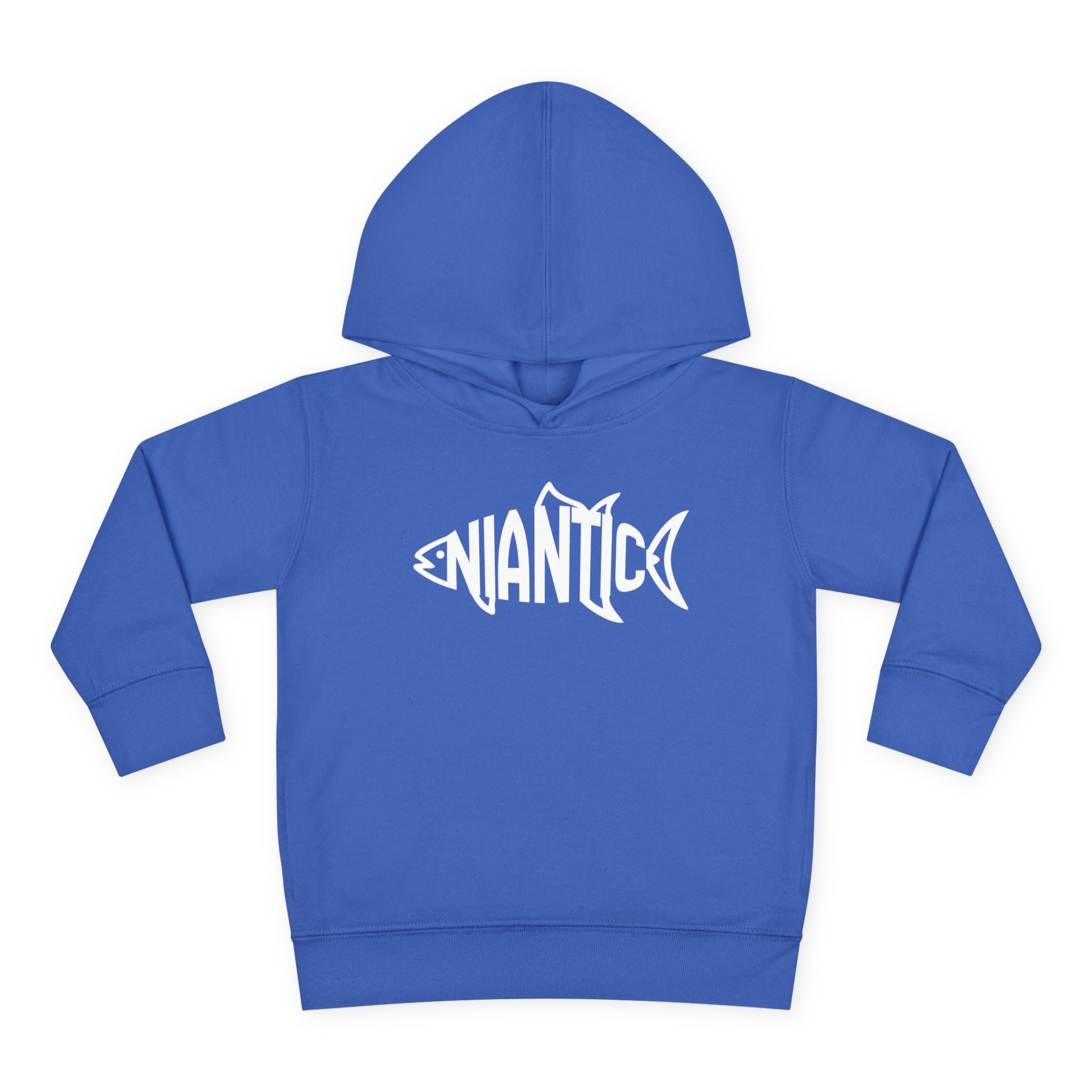 Little Local • Niantic Kids Hoodie