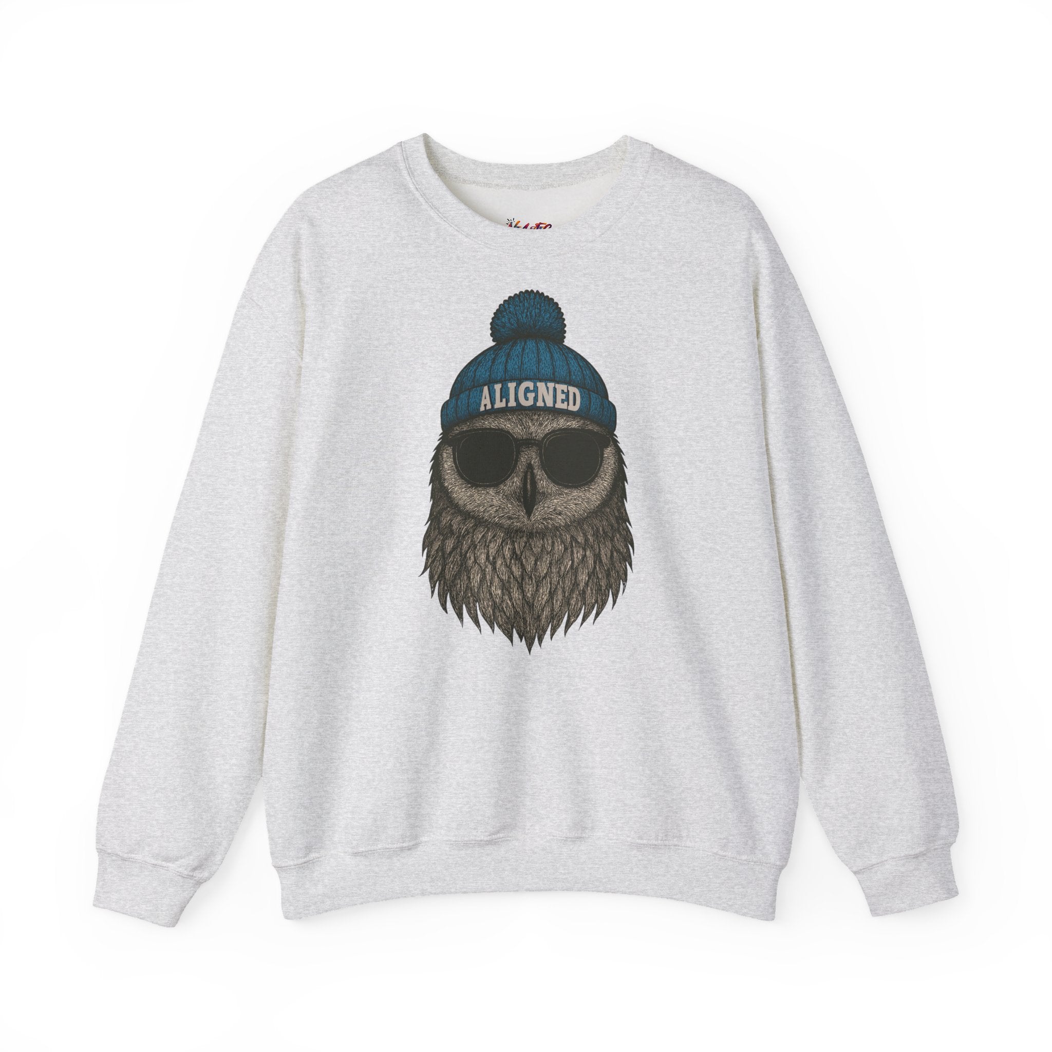 'Aligned' Owl Wearing Beanie & Sunglasses