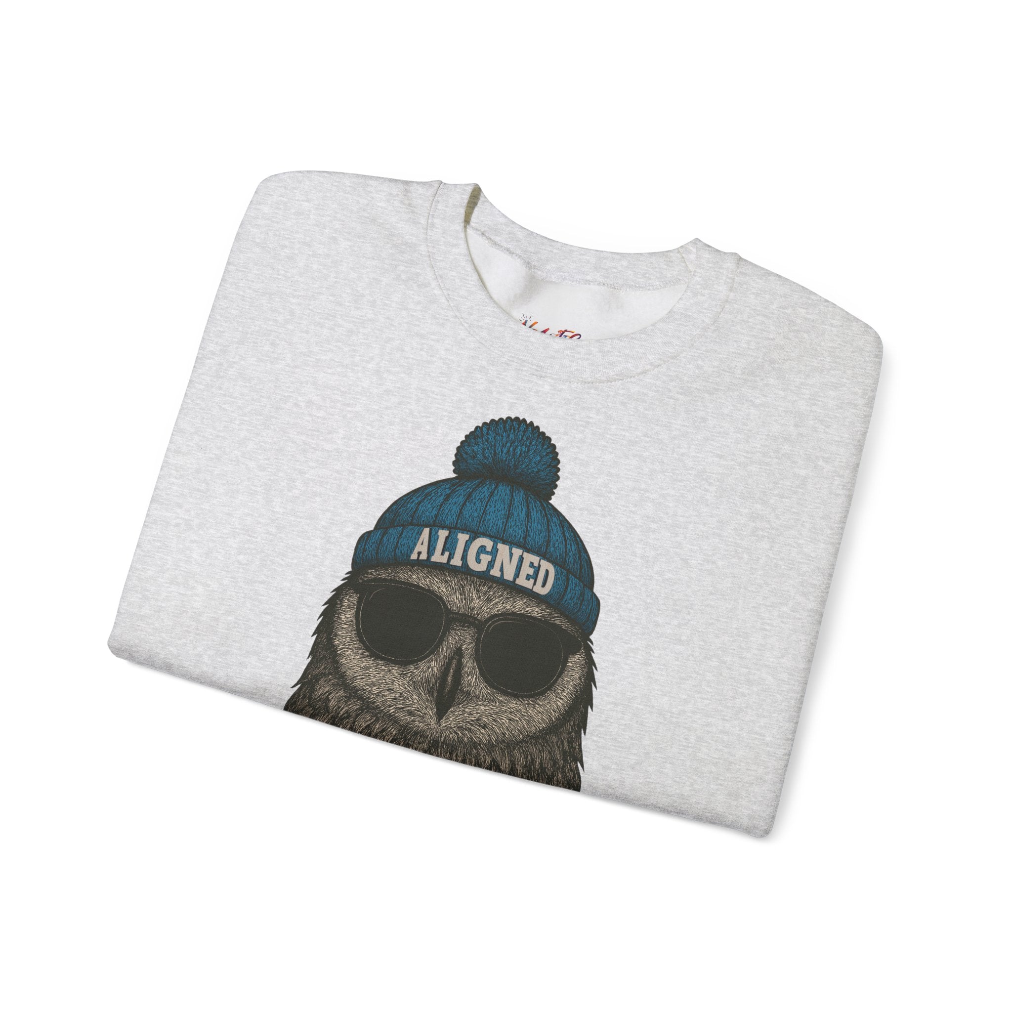'Aligned' Owl Wearing Beanie & Sunglasses
