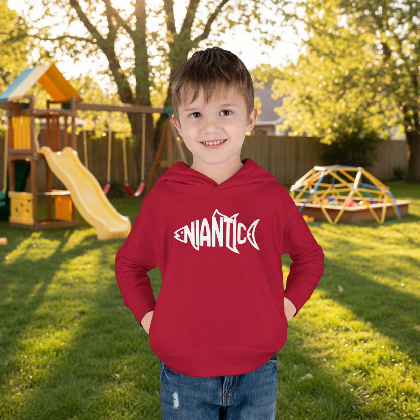 Little Local • Niantic Kids Hoodie