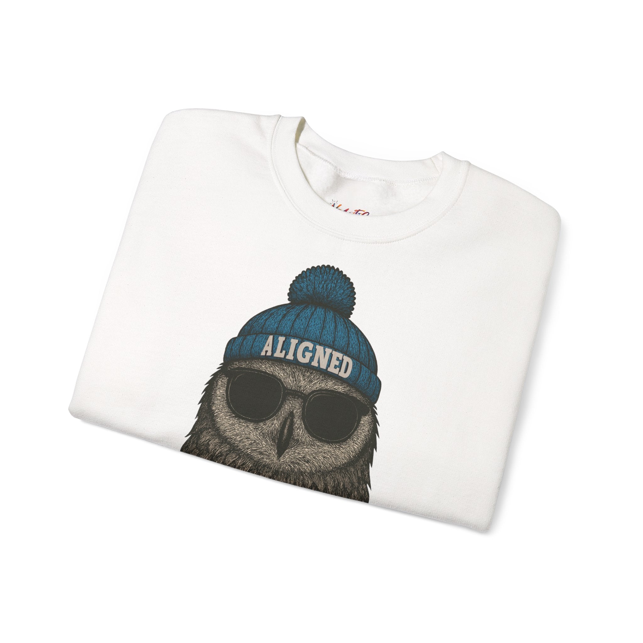 'Aligned' Owl Wearing Beanie & Sunglasses