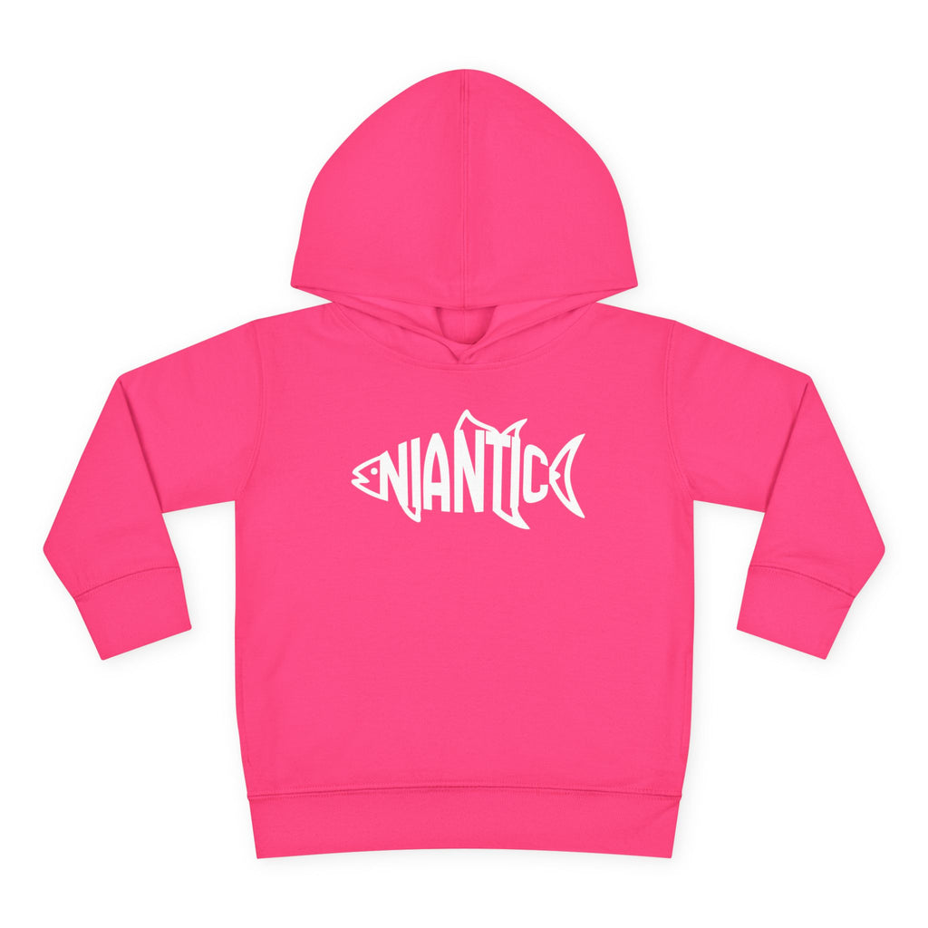 Little Local • Niantic Kids Hoodie
