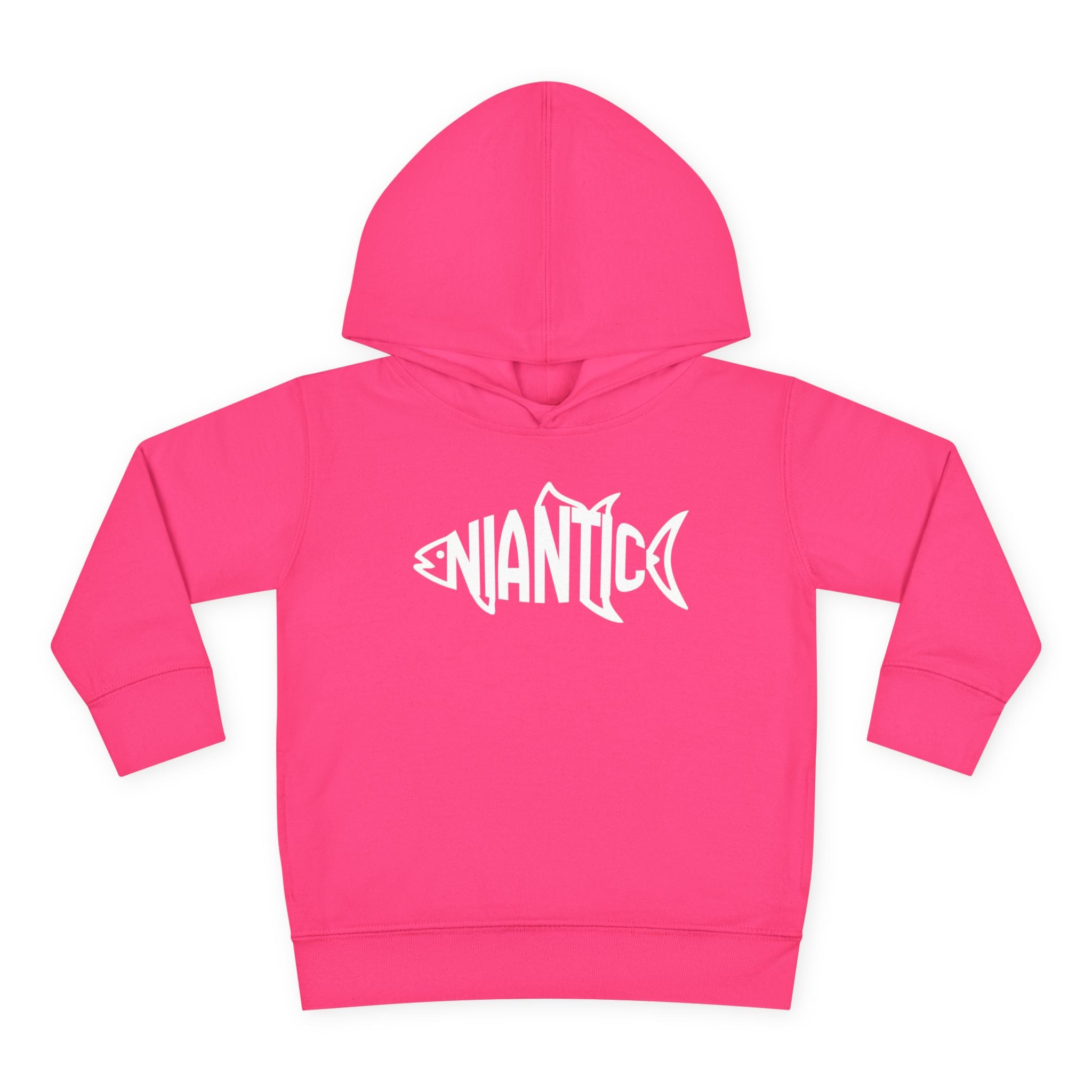 Little Local • Niantic Kids Hoodie