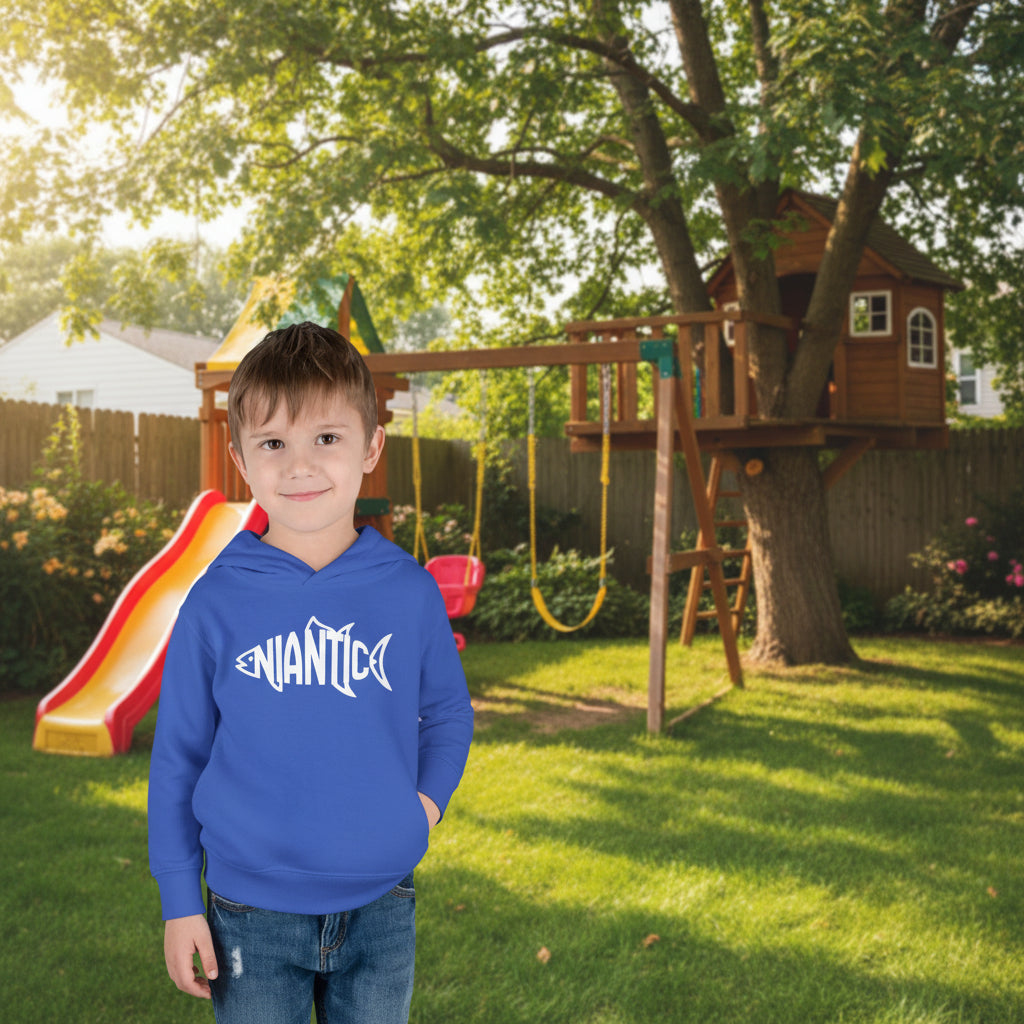 Little Local • Niantic Kids Hoodie