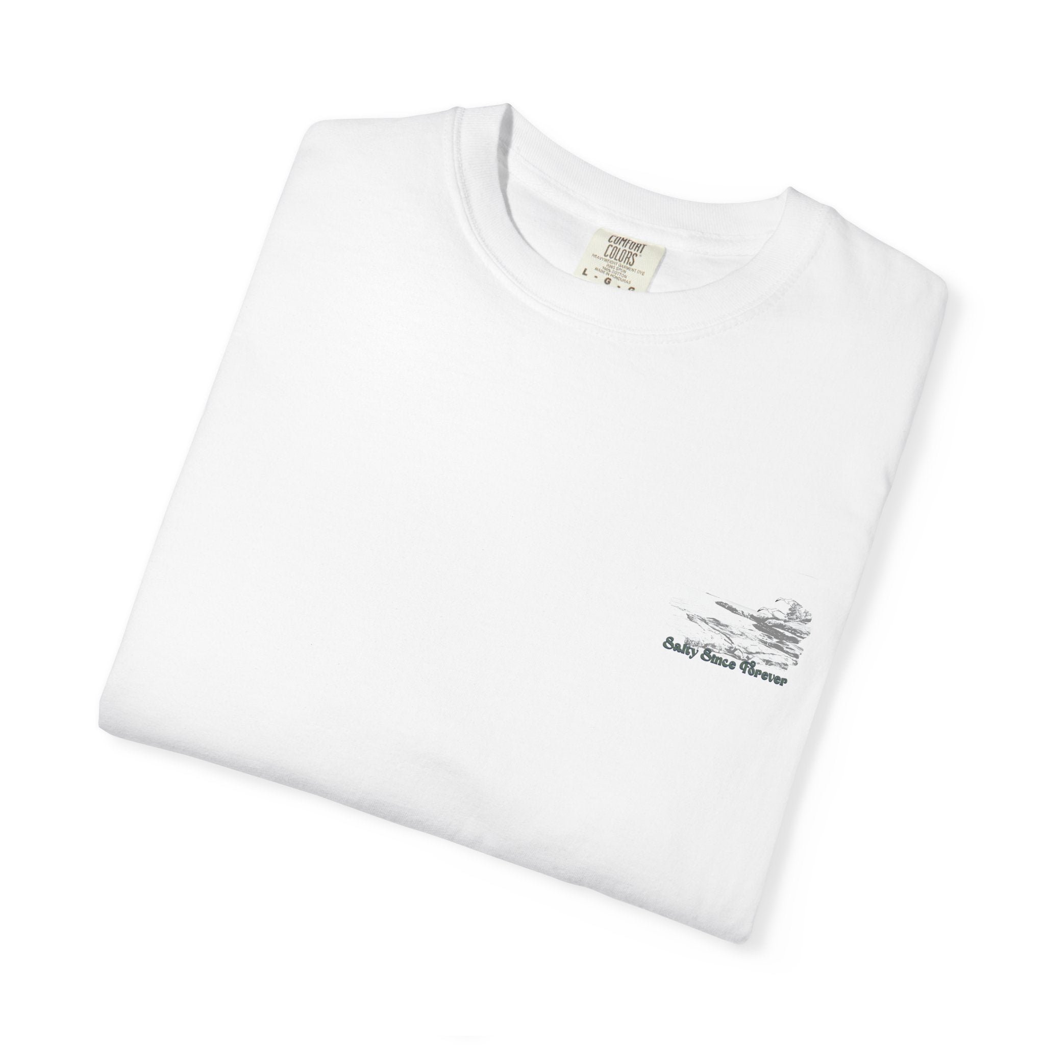 Rocky Neck State Park 'Salty Since Forever' Tee