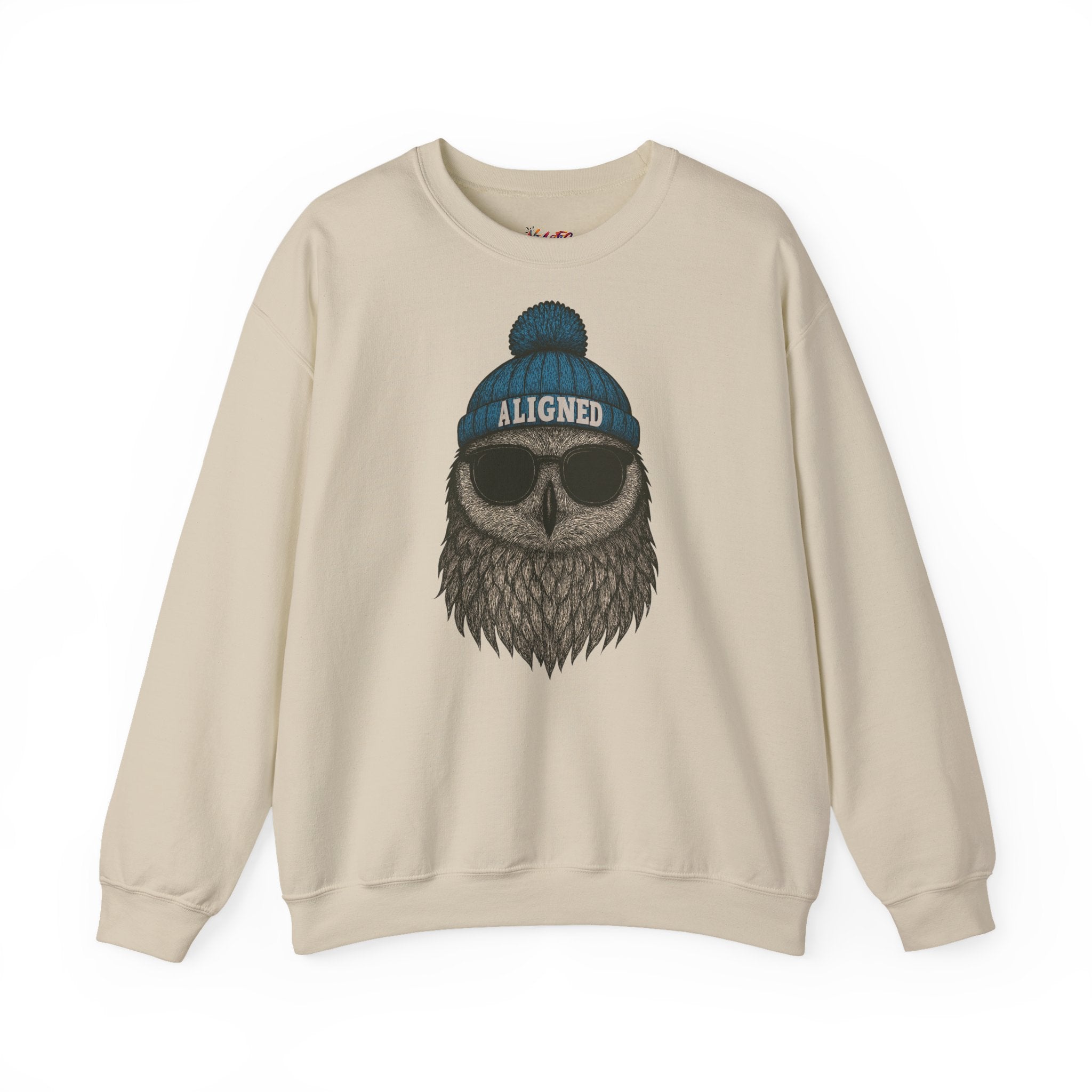 'Aligned' Owl Wearing Beanie & Sunglasses