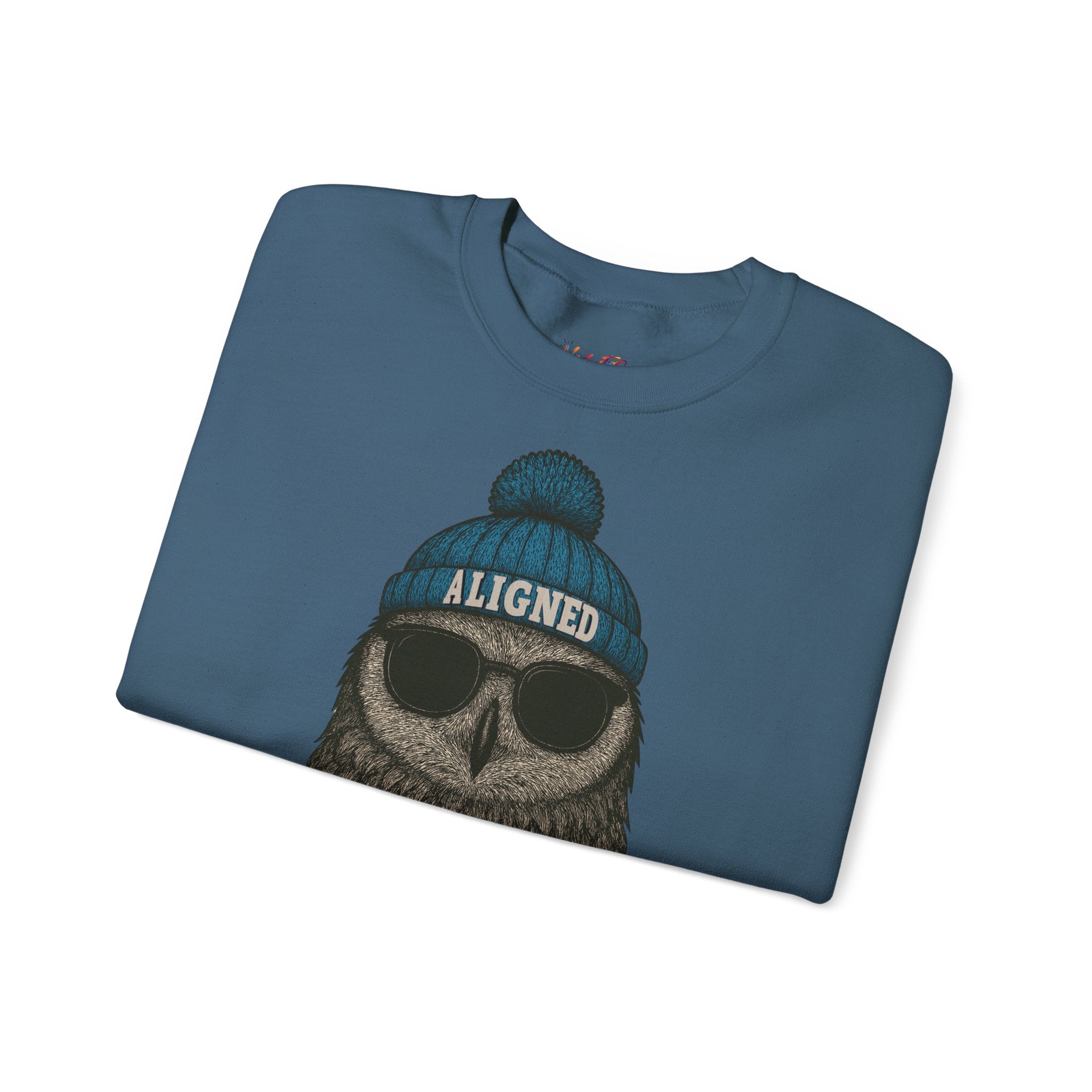 'Aligned' Owl Wearing Beanie & Sunglasses