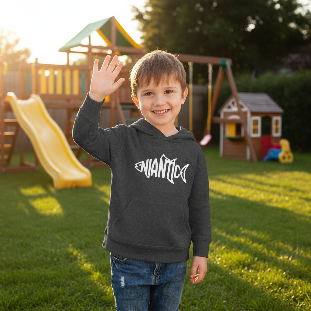 Little Local • Niantic Kids Hoodie