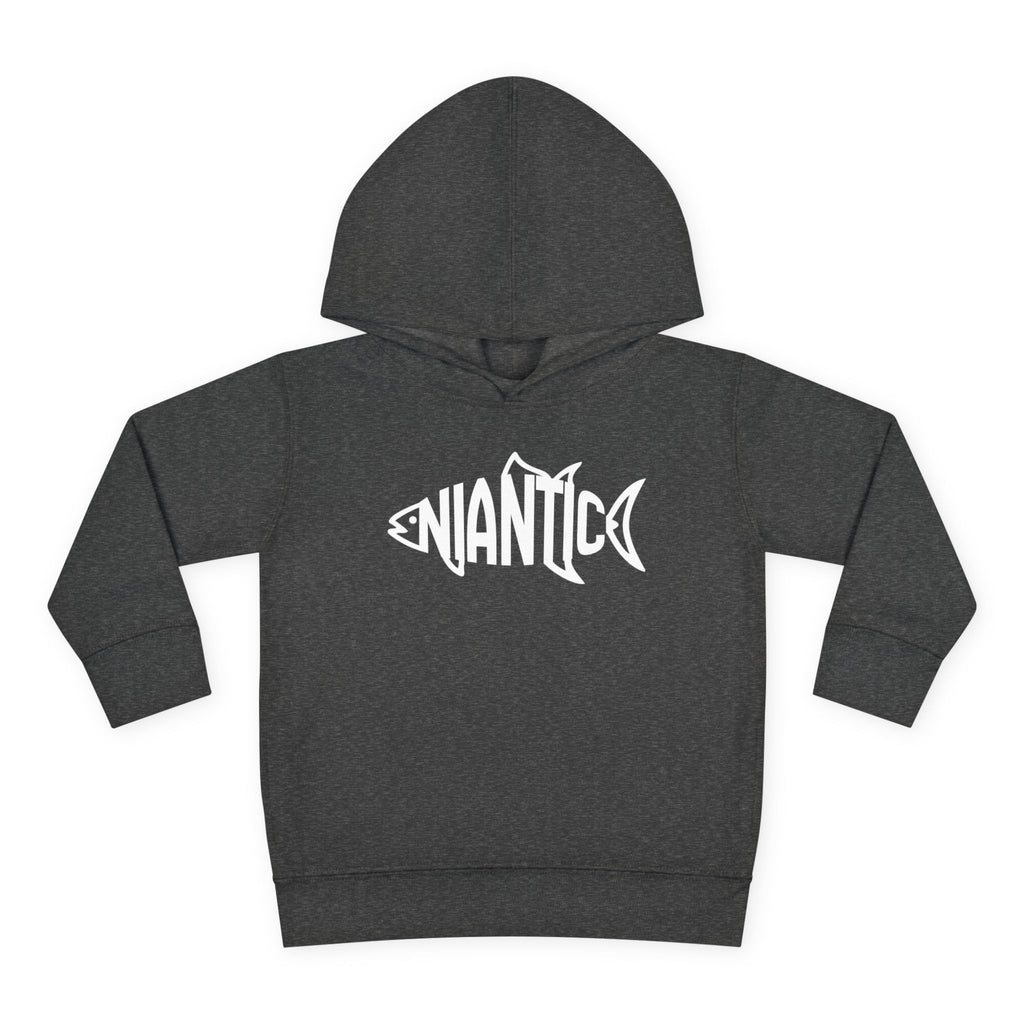 Little Local • Niantic Kids Hoodie