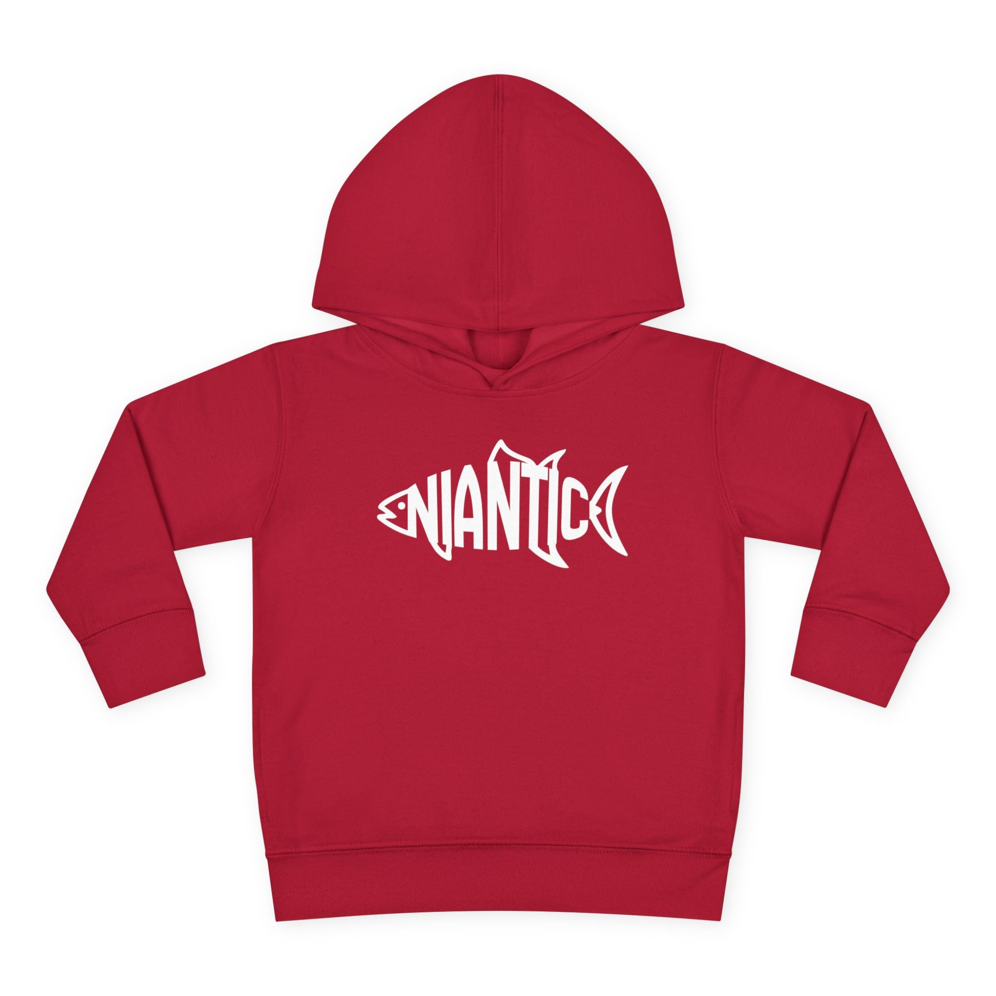 Little Local • Niantic Kids Hoodie