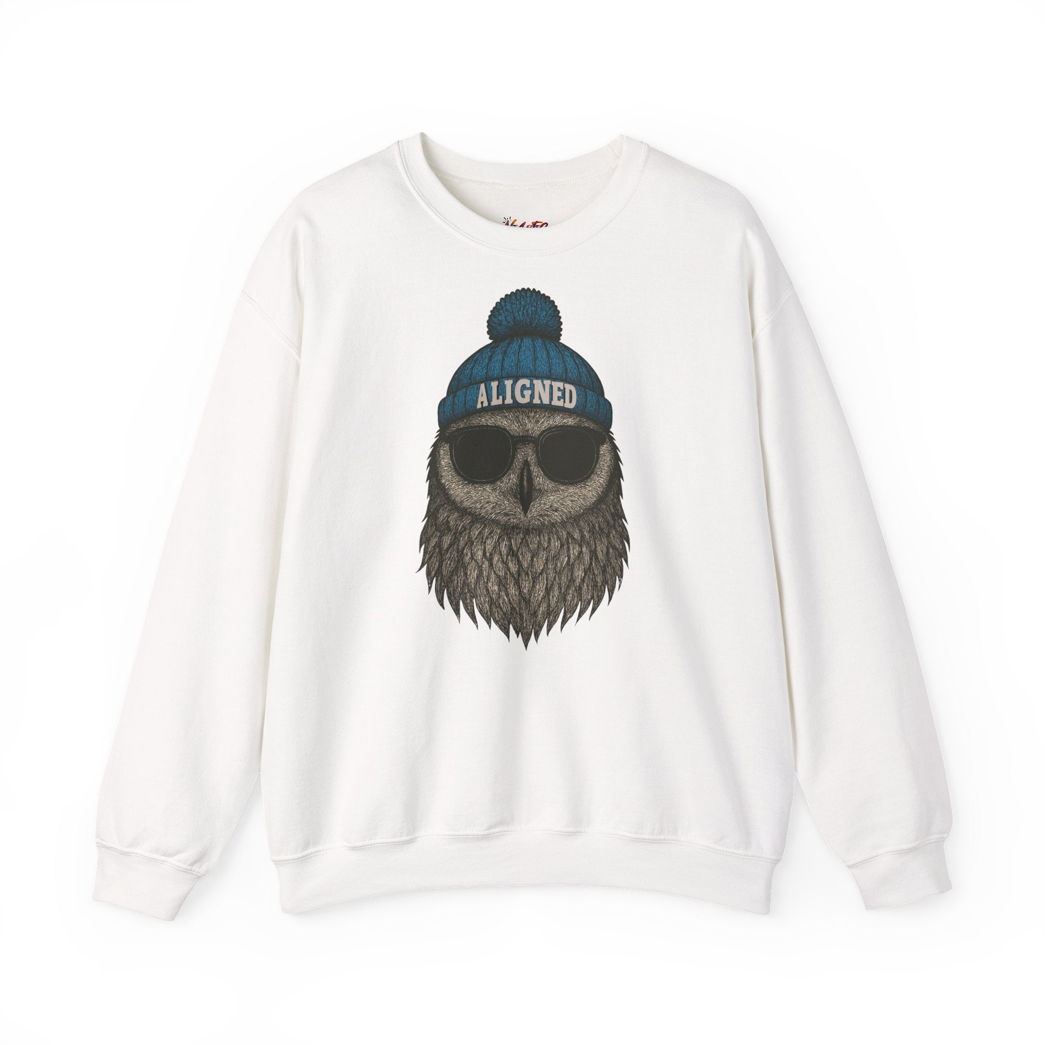 'Aligned' Owl Wearing Beanie & Sunglasses